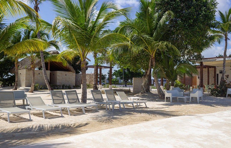 Dream villa with pool & garden view in Vista Cana