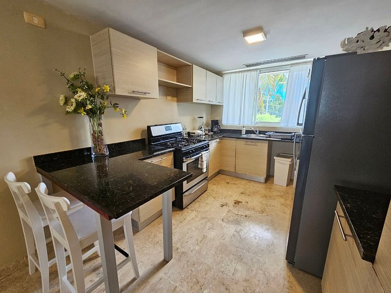 Stunning 3BDR Private Beach Access Playa Turquesa