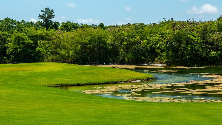 Harmony Penthouse with Golf View