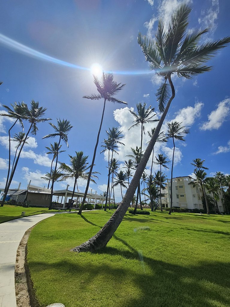 Playa Turquesa 3BR • BBQ • Oceanfront Stay